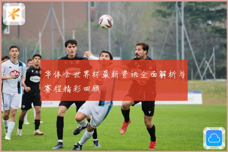 华体会世界杯最新资讯全面解析与赛程精彩回顾