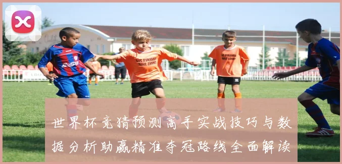 世界杯竞猜预测高手实战技巧与数据分析助赢精准夺冠路线全面解读