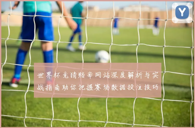 世界杯竞猜赔率网站深度解析与实战指南助你把握赛场数据投注技巧